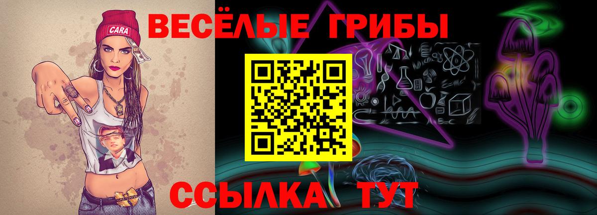 Морозовск  Псилоцибиновые грибы Magic Shrooms  Галлюциногенные грибы Psilocybe  Вход с VPN 