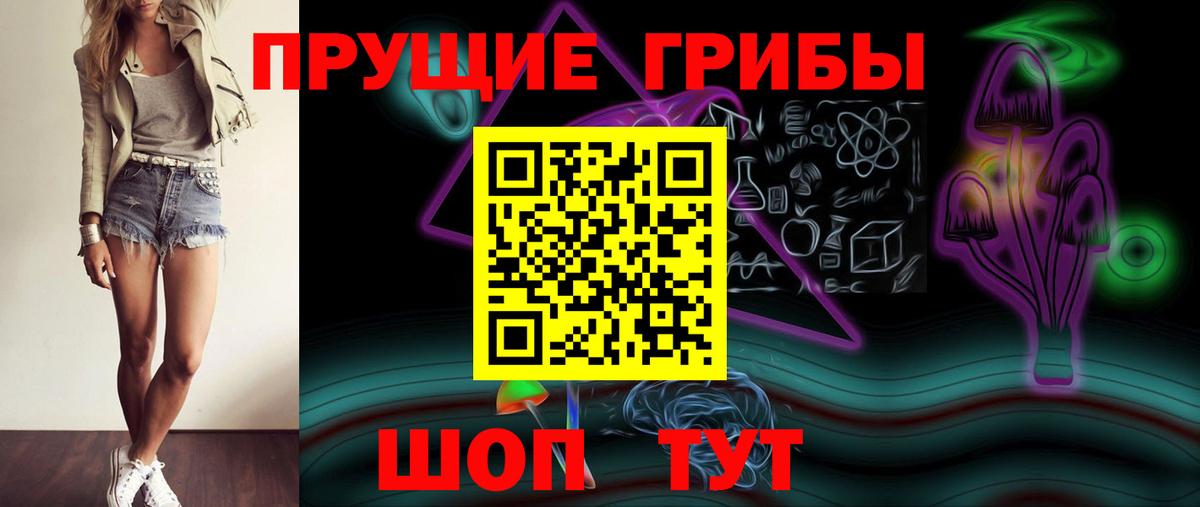 Псилоцибиновые грибы Cubensis Морозовск
